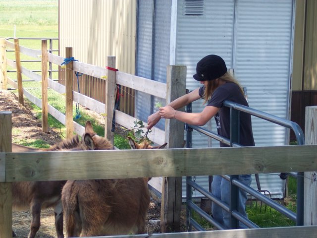 anotherviewofdustinfeedingthem.jpg