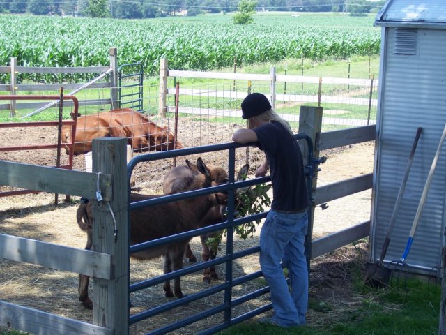 dustinfeedingthemoakleaves.jpg